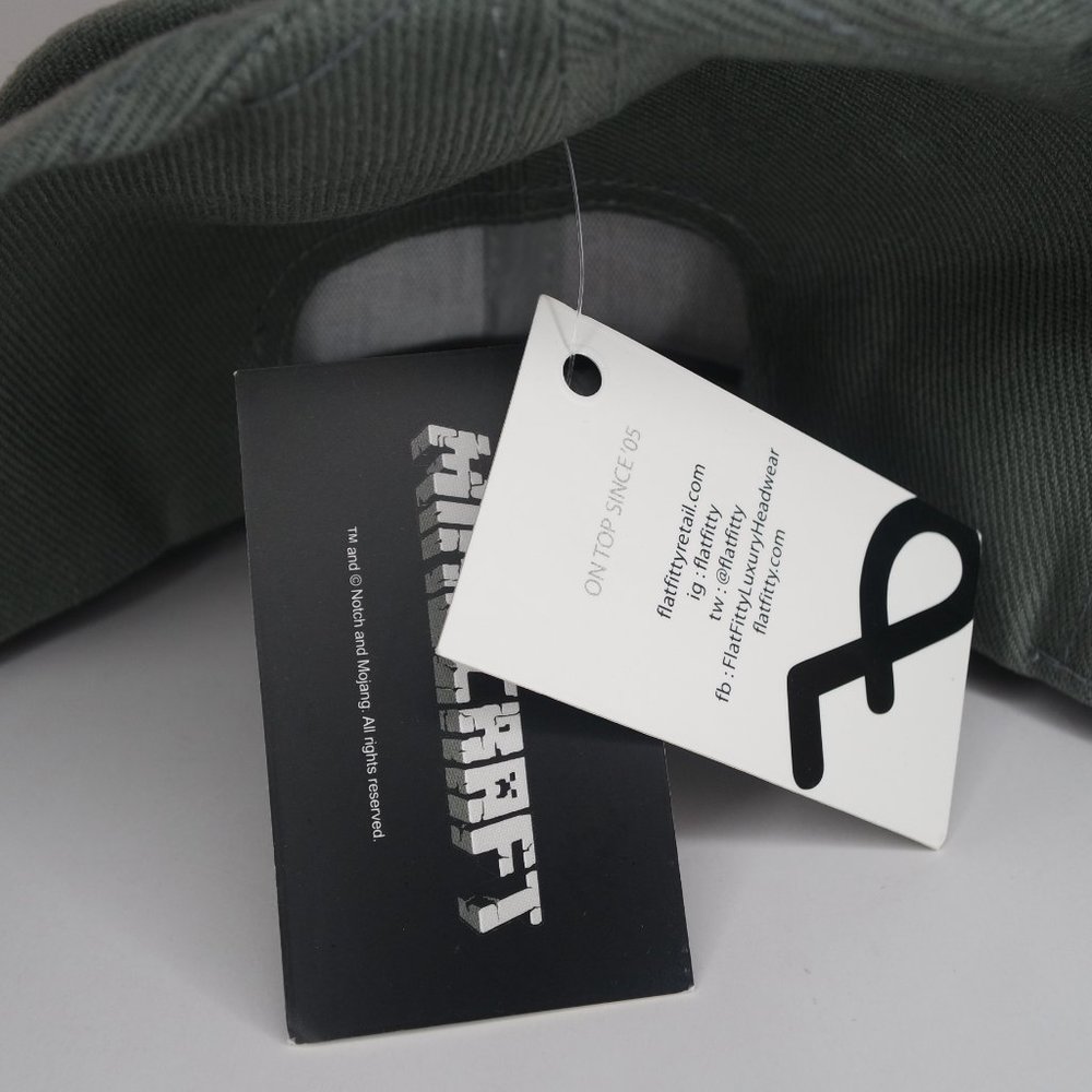 (NEW) Minecraft Hat #1 - Picture 8 of 9